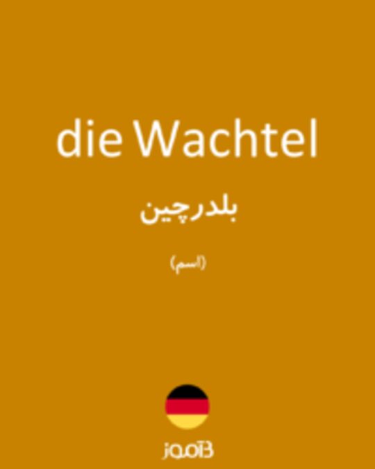  تصویر die Wachtel - دیکشنری انگلیسی بیاموز