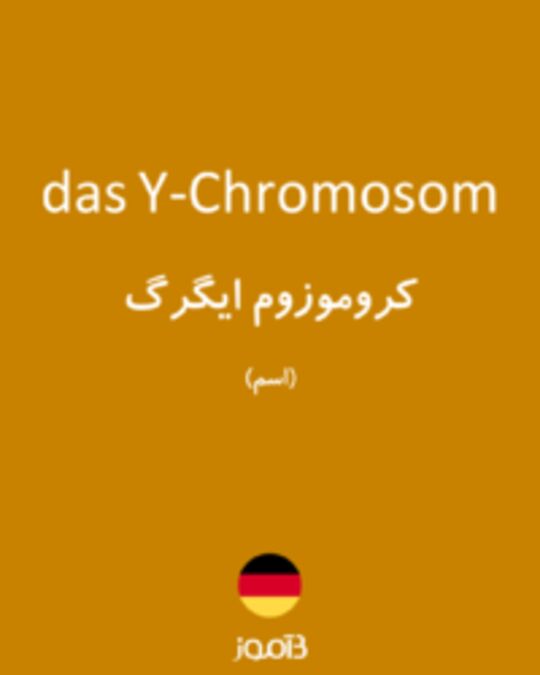  تصویر das Y-Chromosom - دیکشنری انگلیسی بیاموز