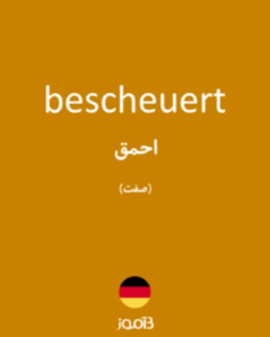  تصویر bescheuert - دیکشنری انگلیسی بیاموز