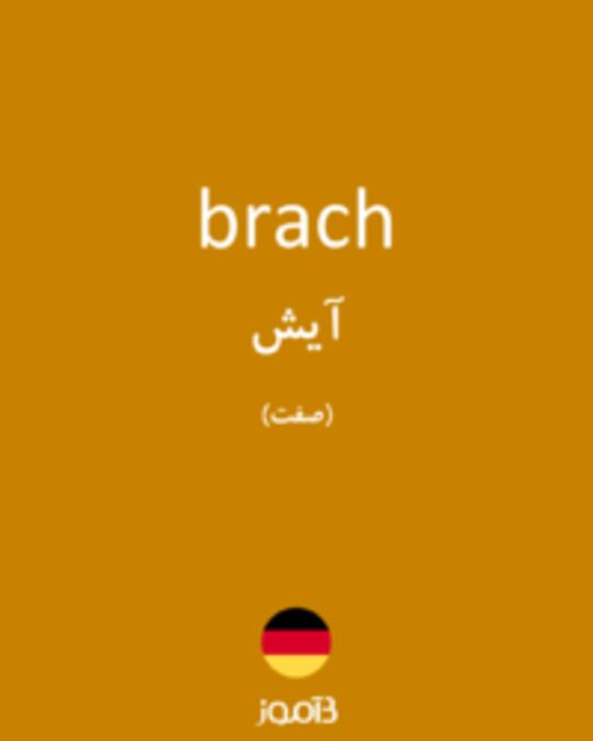  تصویر brach - دیکشنری انگلیسی بیاموز