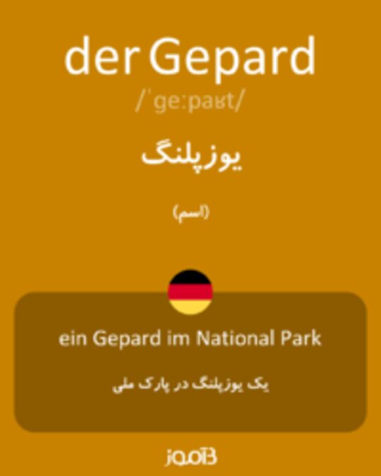  تصویر der Gepard - دیکشنری انگلیسی بیاموز