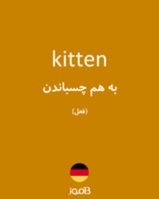  تصویر kitten - دیکشنری انگلیسی بیاموز