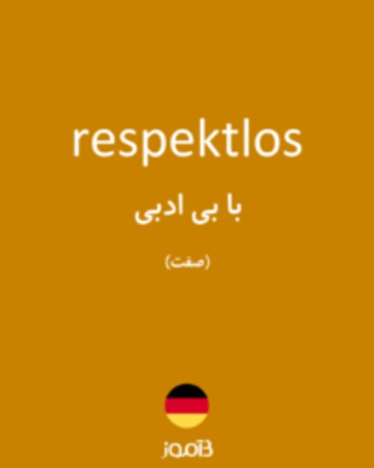  تصویر respektlos - دیکشنری انگلیسی بیاموز