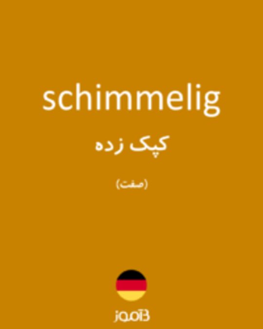  تصویر schimmelig - دیکشنری انگلیسی بیاموز