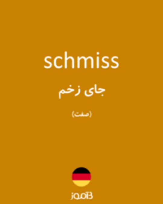  تصویر schmiss - دیکشنری انگلیسی بیاموز