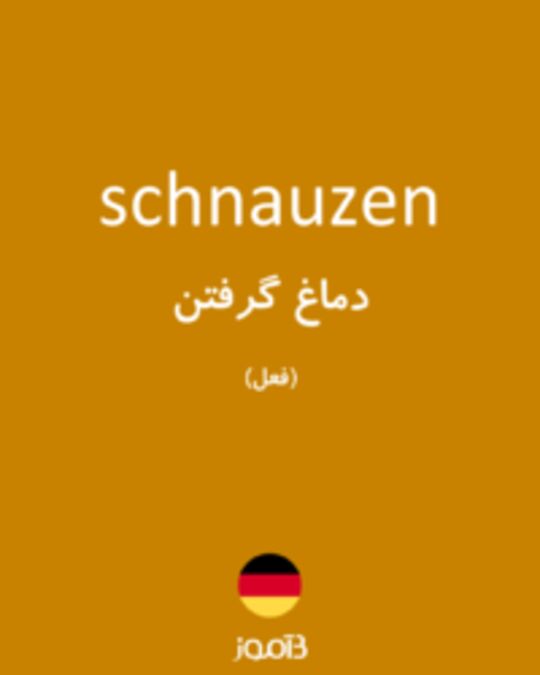  تصویر schnauzen - دیکشنری انگلیسی بیاموز