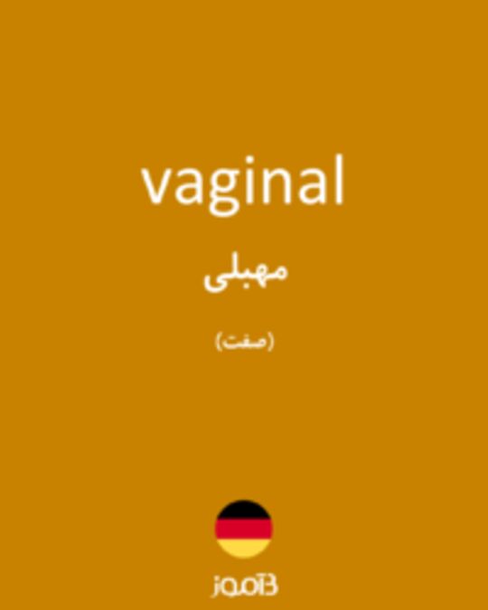  تصویر vaginal - دیکشنری انگلیسی بیاموز