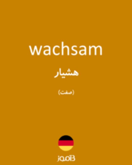  تصویر wachsam - دیکشنری انگلیسی بیاموز