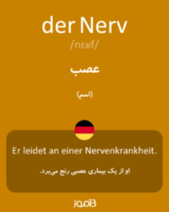  تصویر der Nerv - دیکشنری انگلیسی بیاموز