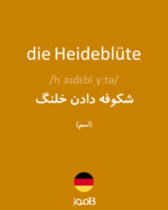  تصویر die Heideblüte - دیکشنری انگلیسی بیاموز