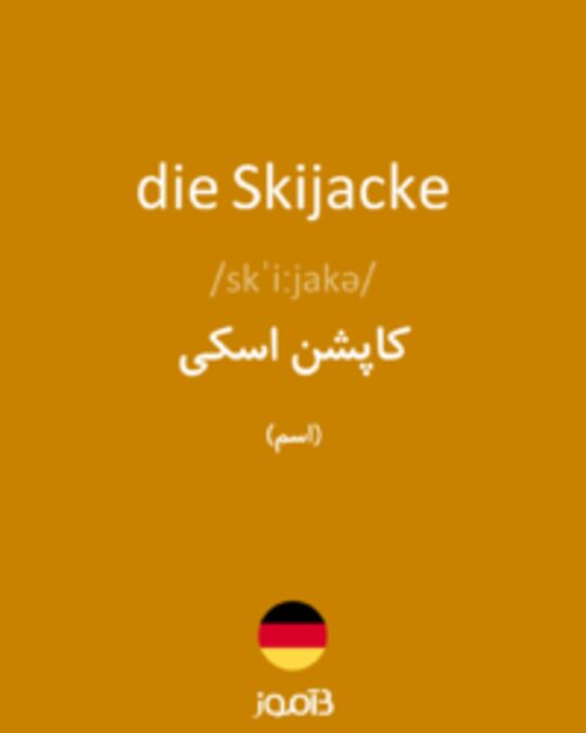  تصویر die Skijacke - دیکشنری انگلیسی بیاموز