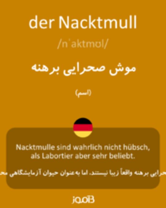  تصویر der Nacktmull - دیکشنری انگلیسی بیاموز