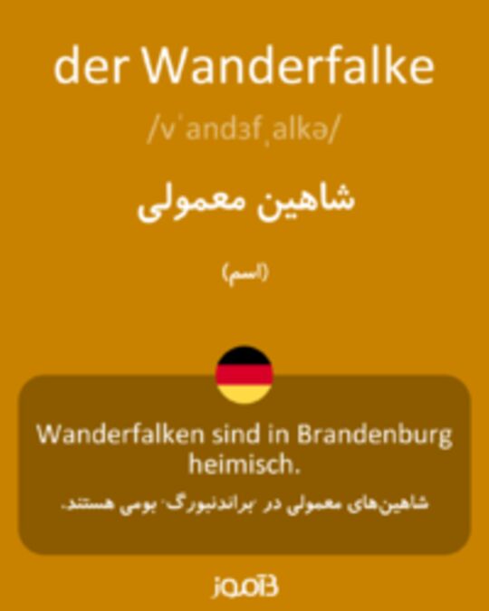  تصویر der Wanderfalke - دیکشنری انگلیسی بیاموز