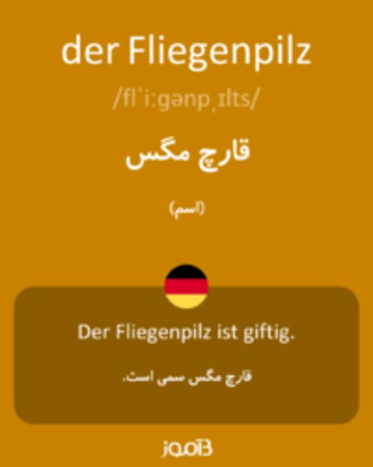  تصویر der Fliegenpilz - دیکشنری انگلیسی بیاموز