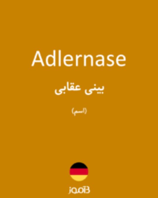  تصویر Adlernase - دیکشنری انگلیسی بیاموز