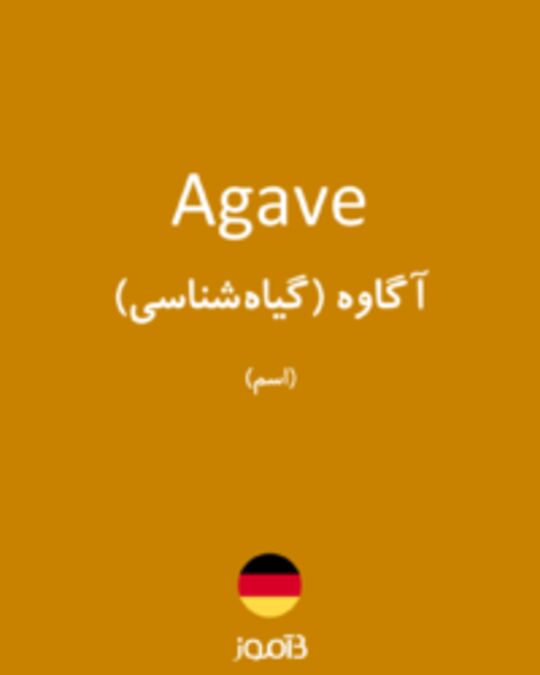  تصویر Agave - دیکشنری انگلیسی بیاموز