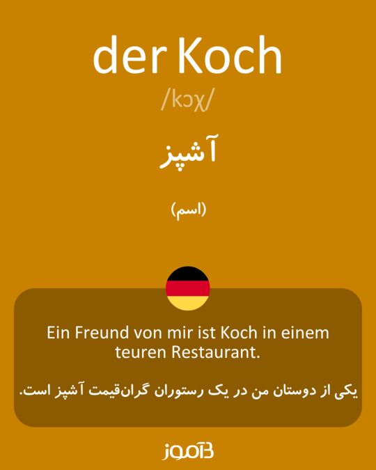  Koch 