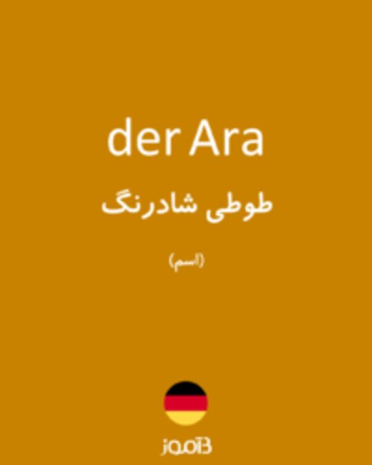  تصویر der Ara - دیکشنری انگلیسی بیاموز