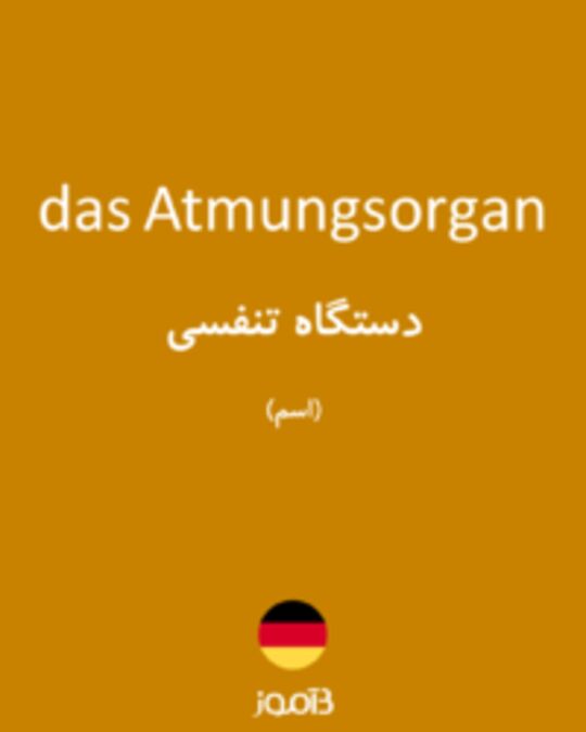  تصویر das Atmungsorgan - دیکشنری انگلیسی بیاموز