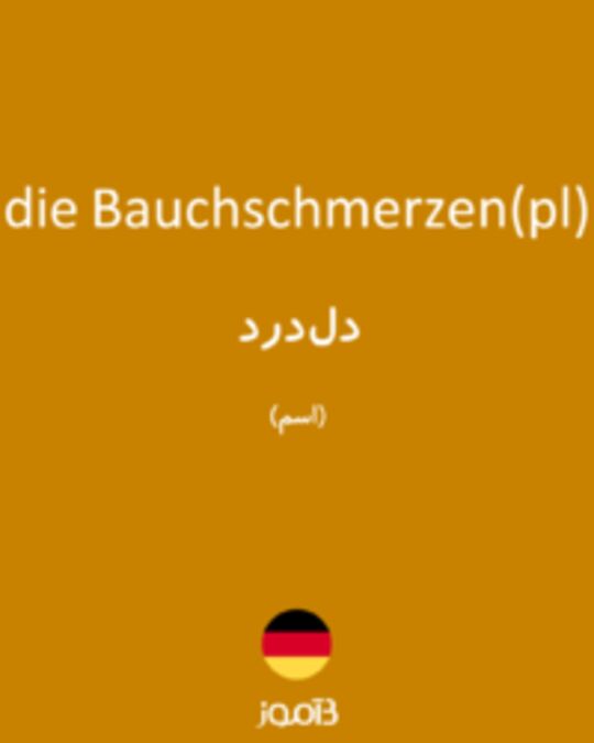  تصویر die Bauchschmerzen(pl) - دیکشنری انگلیسی بیاموز