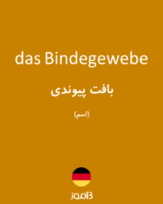  تصویر das Bindegewebe - دیکشنری انگلیسی بیاموز