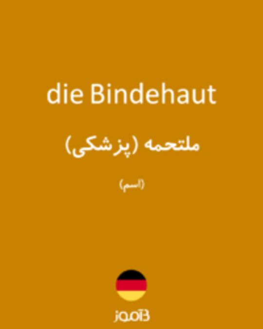  تصویر die Bindehaut - دیکشنری انگلیسی بیاموز