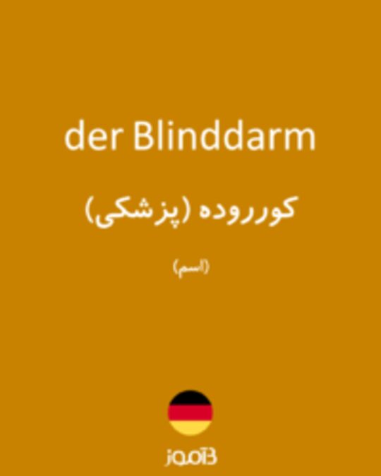  تصویر der Blinddarm - دیکشنری انگلیسی بیاموز