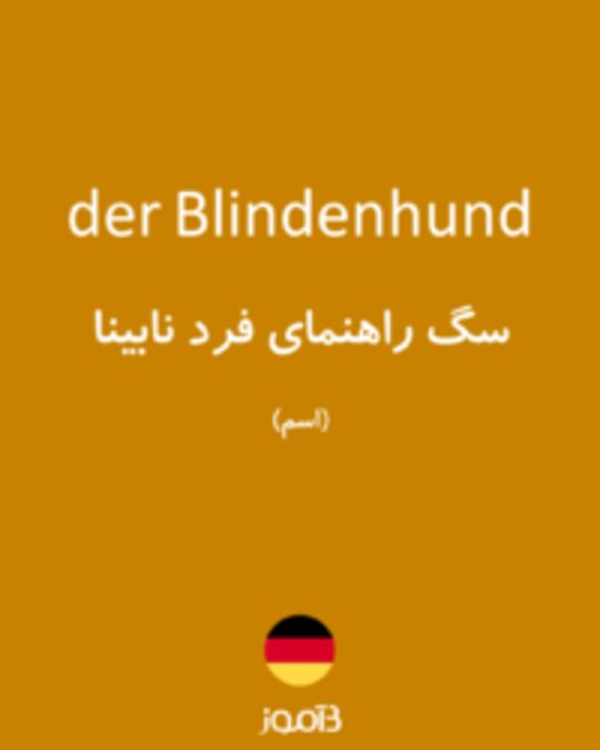  تصویر der Blindenhund - دیکشنری انگلیسی بیاموز