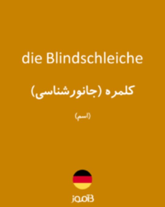  تصویر die Blindschleiche - دیکشنری انگلیسی بیاموز