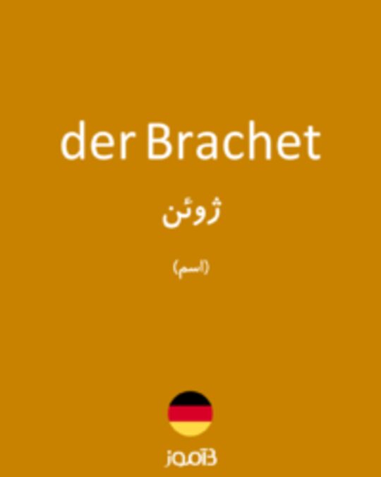  تصویر der Brachet - دیکشنری انگلیسی بیاموز