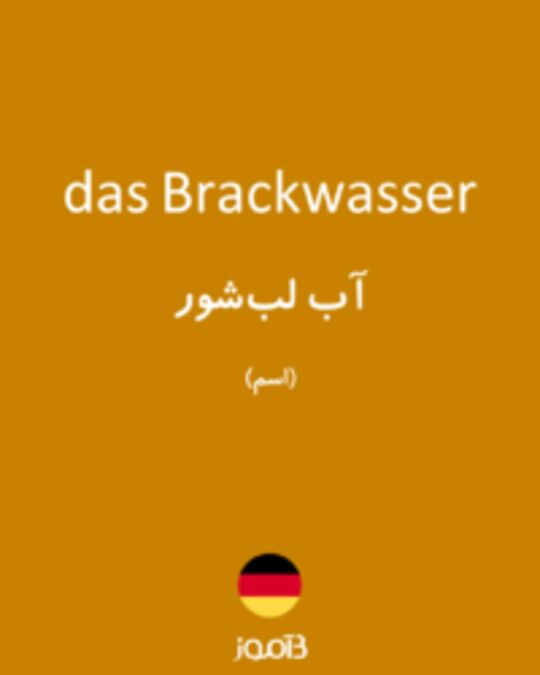  تصویر das Brackwasser - دیکشنری انگلیسی بیاموز