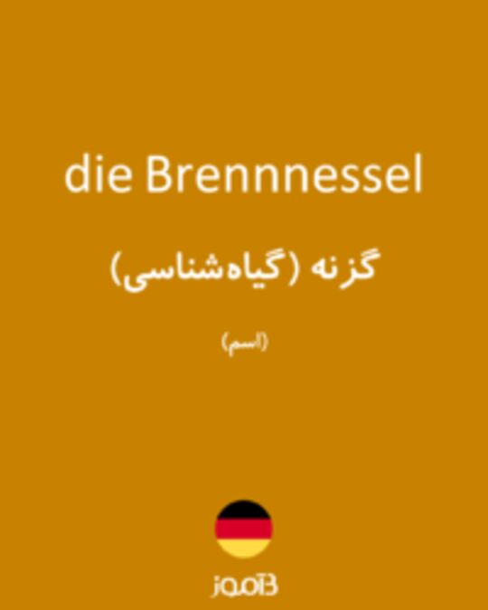  تصویر die Brennnessel - دیکشنری انگلیسی بیاموز