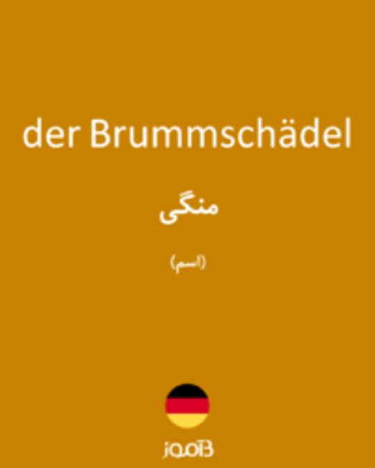  تصویر der Brummschädel - دیکشنری انگلیسی بیاموز