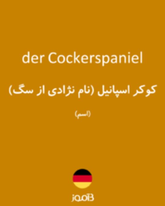  تصویر der Cockerspaniel - دیکشنری انگلیسی بیاموز