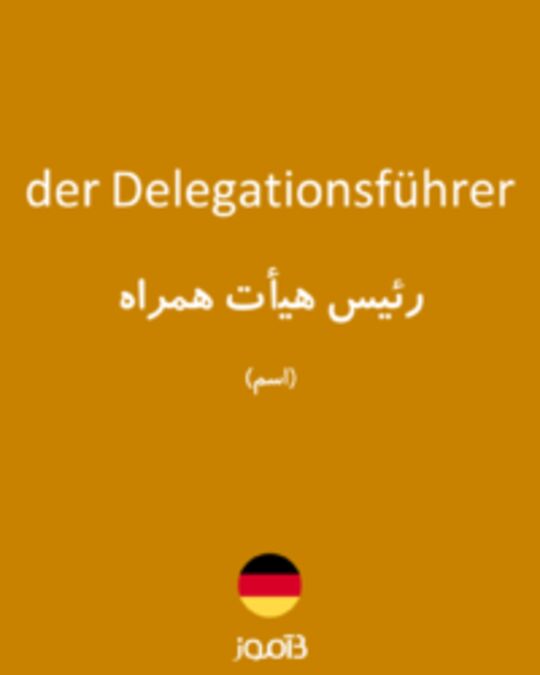  تصویر der Delegationsführer - دیکشنری انگلیسی بیاموز