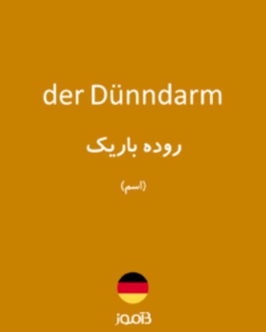  تصویر der Dünndarm - دیکشنری انگلیسی بیاموز