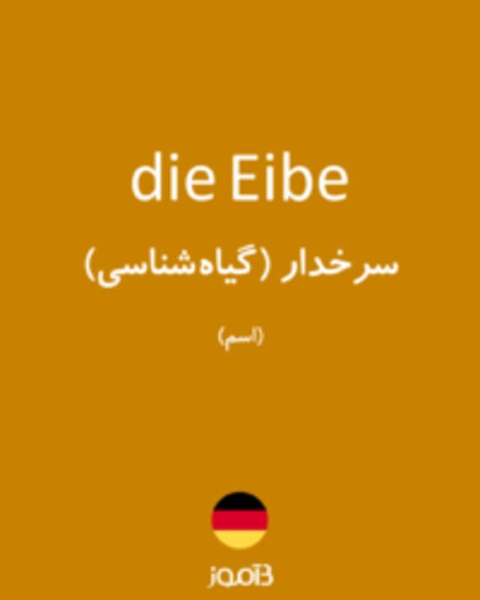  تصویر die Eibe - دیکشنری انگلیسی بیاموز