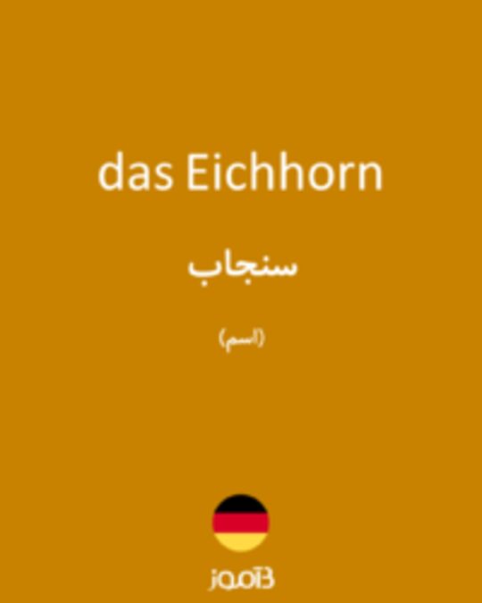  تصویر das Eichhorn - دیکشنری انگلیسی بیاموز