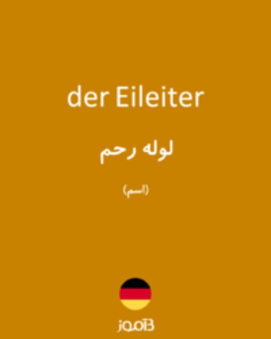  تصویر der Eileiter - دیکشنری انگلیسی بیاموز