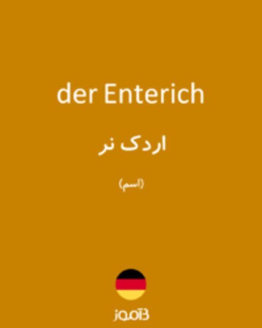  تصویر der Enterich - دیکشنری انگلیسی بیاموز