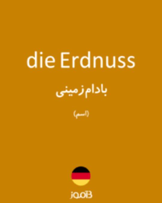  تصویر die Erdnuss - دیکشنری انگلیسی بیاموز