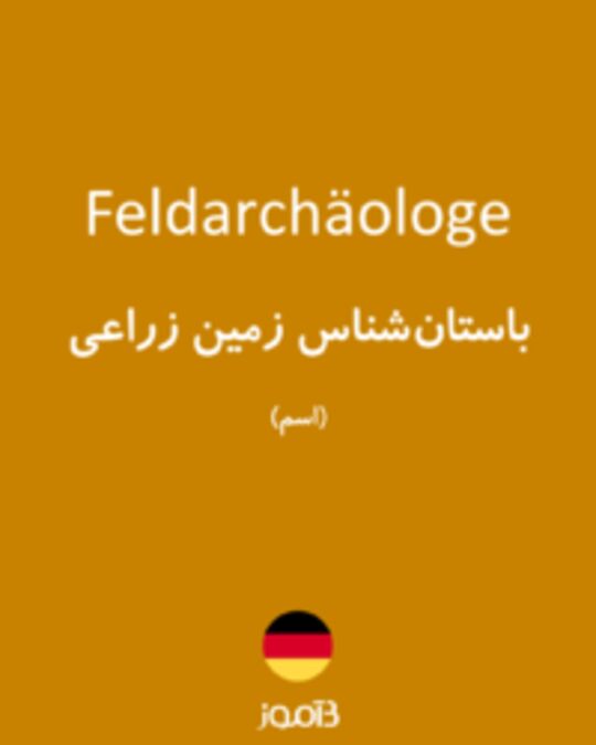  تصویر Feldarchäologe - دیکشنری انگلیسی بیاموز