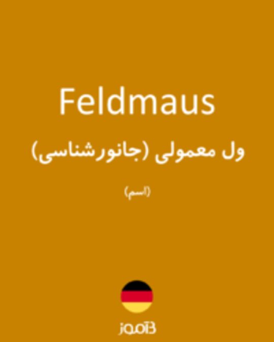  تصویر Feldmaus - دیکشنری انگلیسی بیاموز