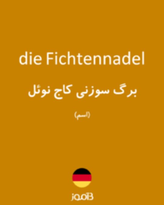  تصویر die Fichtennadel - دیکشنری انگلیسی بیاموز