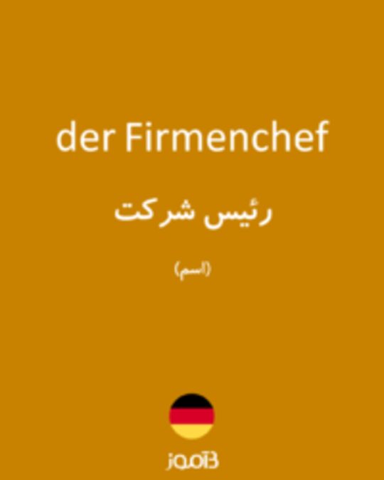  تصویر der Firmenchef - دیکشنری انگلیسی بیاموز