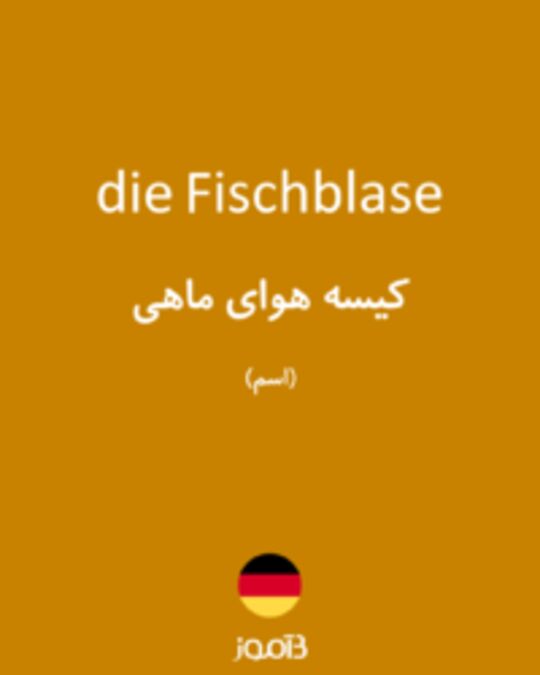  تصویر die Fischblase - دیکشنری انگلیسی بیاموز