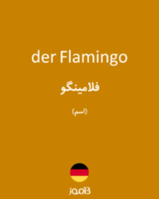  تصویر der Flamingo - دیکشنری انگلیسی بیاموز