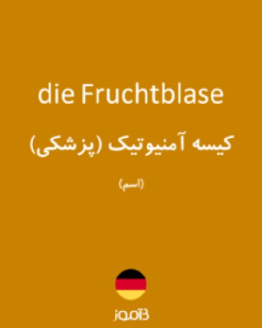  تصویر die Fruchtblase - دیکشنری انگلیسی بیاموز