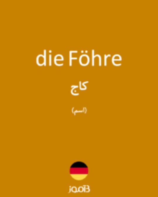  تصویر die Föhre - دیکشنری انگلیسی بیاموز