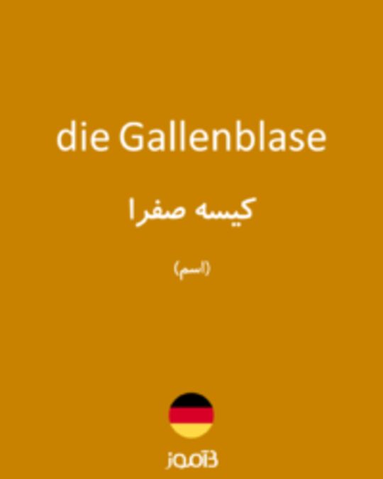  تصویر die Gallenblase - دیکشنری انگلیسی بیاموز